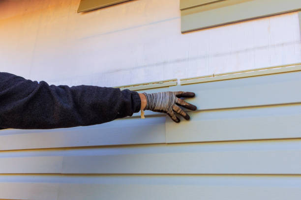 Affordable Siding Repair and Maintenance Services in Monterey, CA